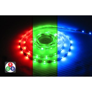 LED Strip RGBW 24V Strip IP65 5m x 12mm Colour Changing 12W per metre